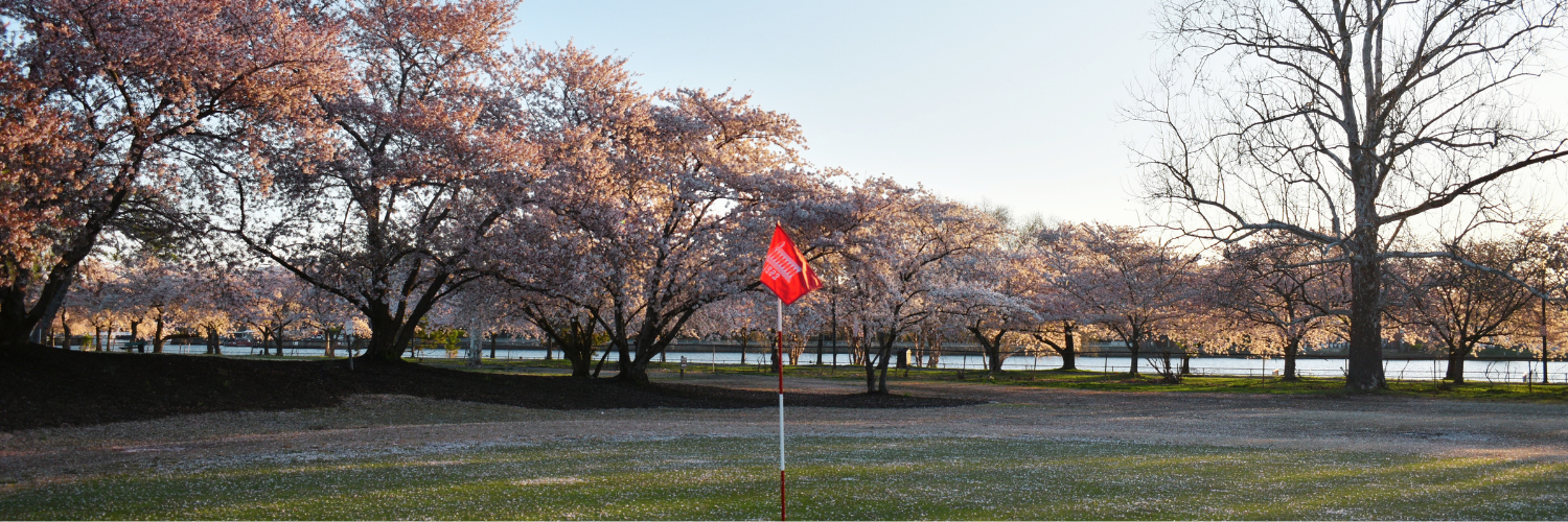 Image of golf ball on tee on grass.